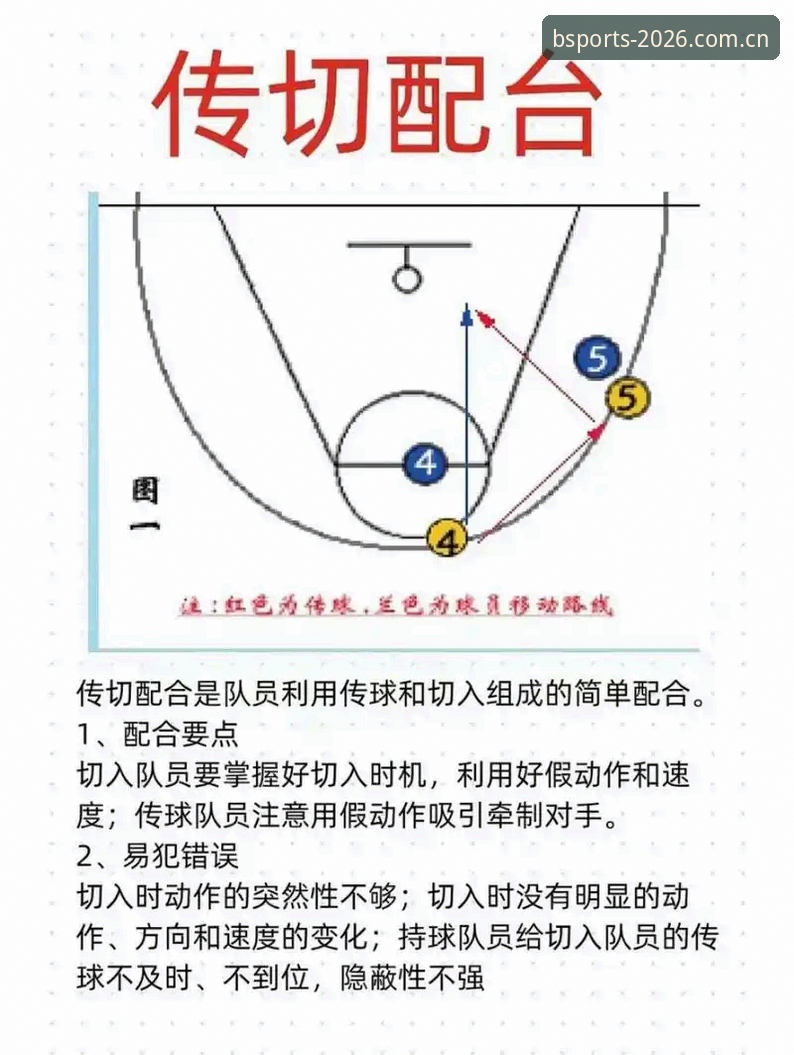 揭秘B体育官方版教程：2026新版背后的技术细节与专属礼遇真相